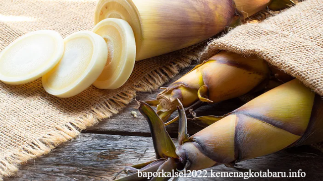 Ini Manfaat Rebung untuk Kesehatan dan Cara Mengolahnya