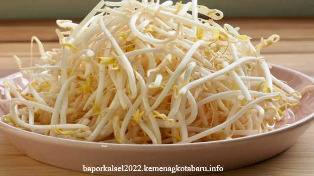 Beberapa Manfaat Toge untuk Pria dan Kandungan Gizinya