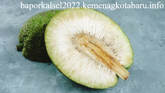 Buah Sukun: Rahasia Kesehatan dari Alam Tropis