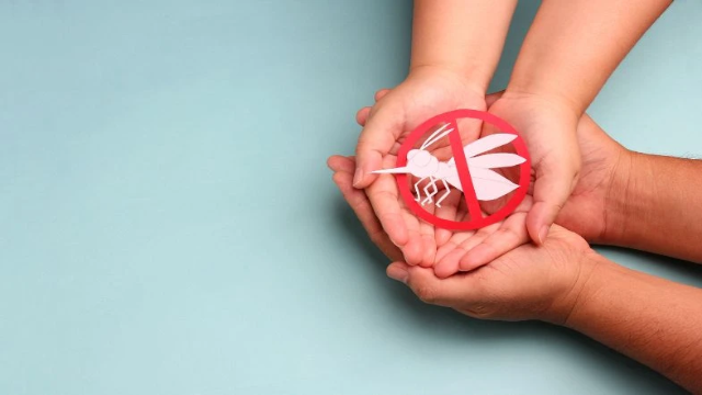 Tips Mencegah Agar Terhindar dari Demam Berdarah